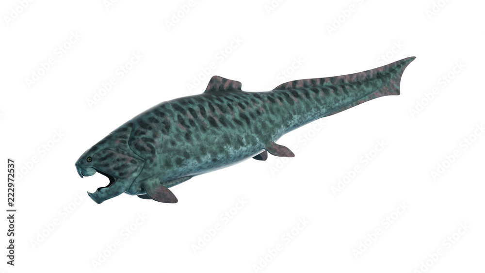 3d rendered illustration of a dunkleosteos 3d rendered illustration of a dunkleosteos