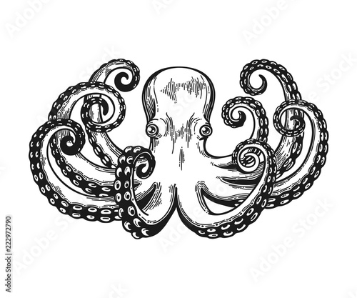 Octopus engraving. Vintage black engraving illustration. Retro style card. Isolated on white background.