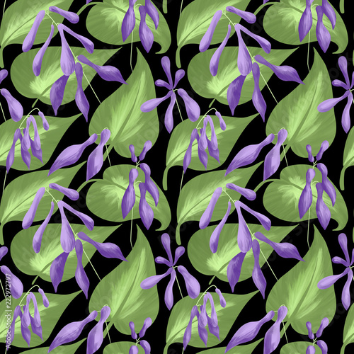 Seamless pattern of leaves and flowers of hostas on a black background. Digital illustration.