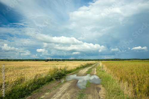 Dirt road through fields of grain  horizon and rainy clouds in the sky