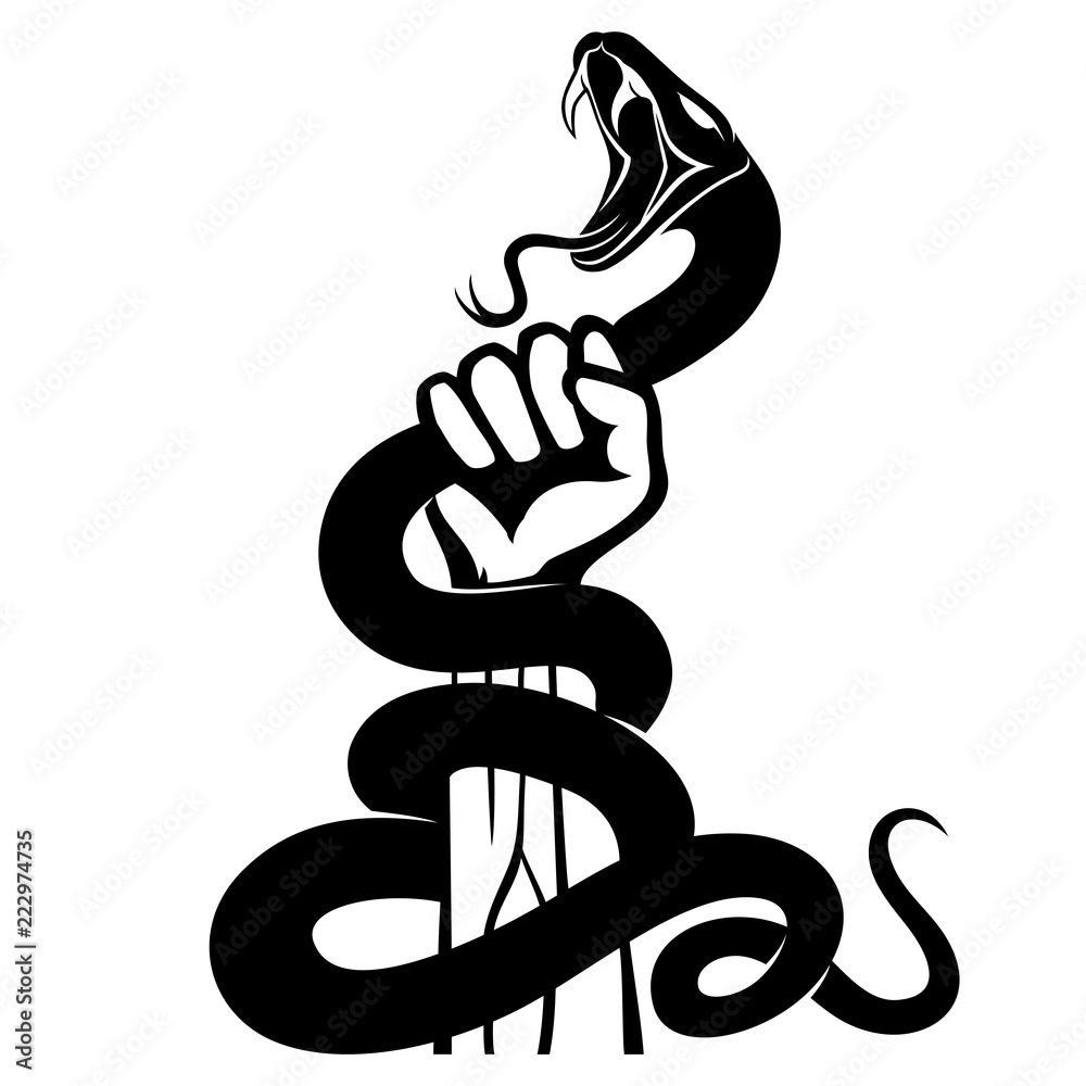 Obraz premium Black snake in hand on white background.