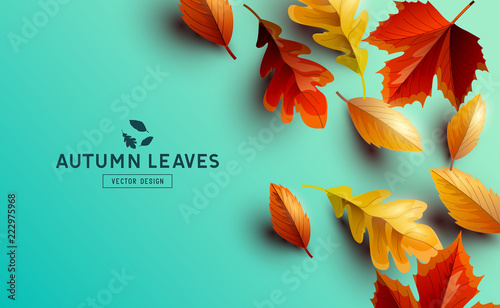Fényképezés Vector Background With Autumn Golden Leaves