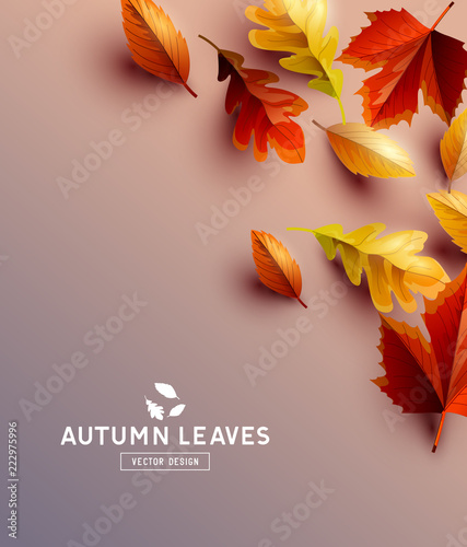 Vector Background With Autumn Leaves