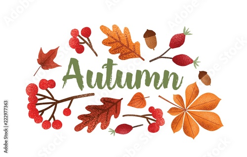Obraz na plátně Autumn lettering handwritten with beautiful cursive calligraphic font decorated with fallen tree leaves, acorns, berries