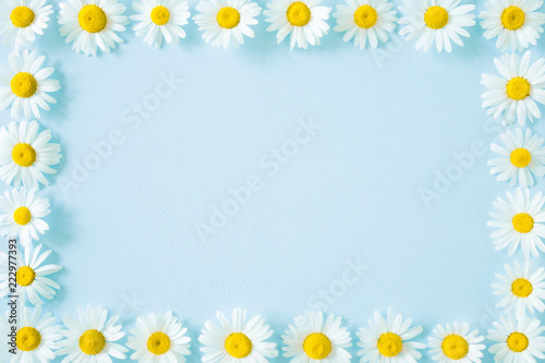 Beautiful, fresh white daisies on pastel blue background. Wild flowers. Soft light color. Mockup for positive idea. Empty place for inspirational, emotional, sentimental text, quote or sayings. 