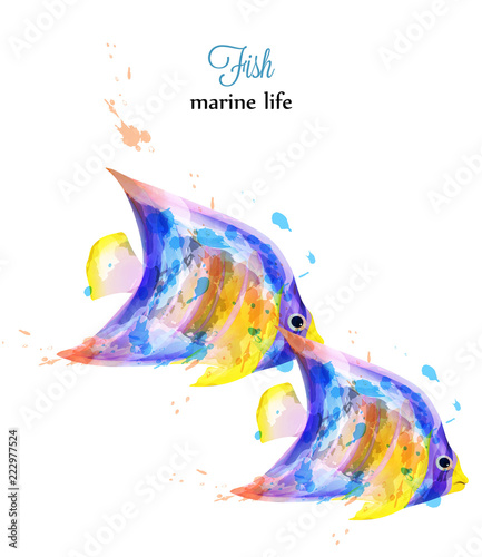 Colorful fish watercolor Vector isolated on white backgrounds