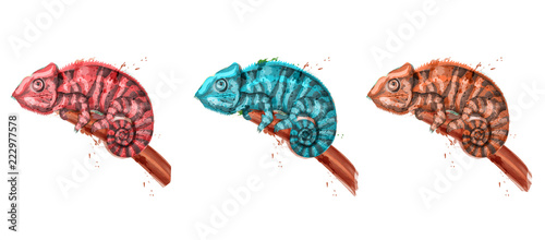 Chameleon watercolor Vector set. Colorful painted style illustrations