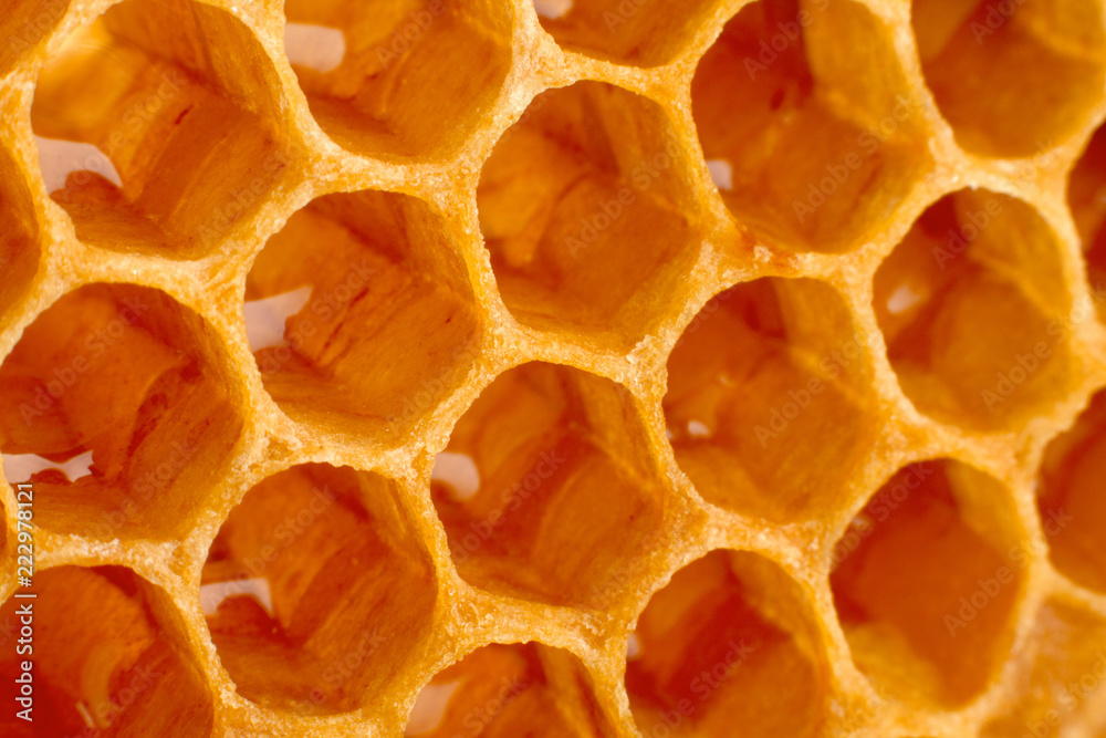 Yellow Honeycomb closeup background Yellow Honeycomb closeup background