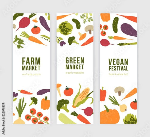 Collection of modern vertical banner templates with fresh organic delicious vegetables and place for text. Vector illustration for farm market, vegan or vegetarian festival promotion, advertisement.