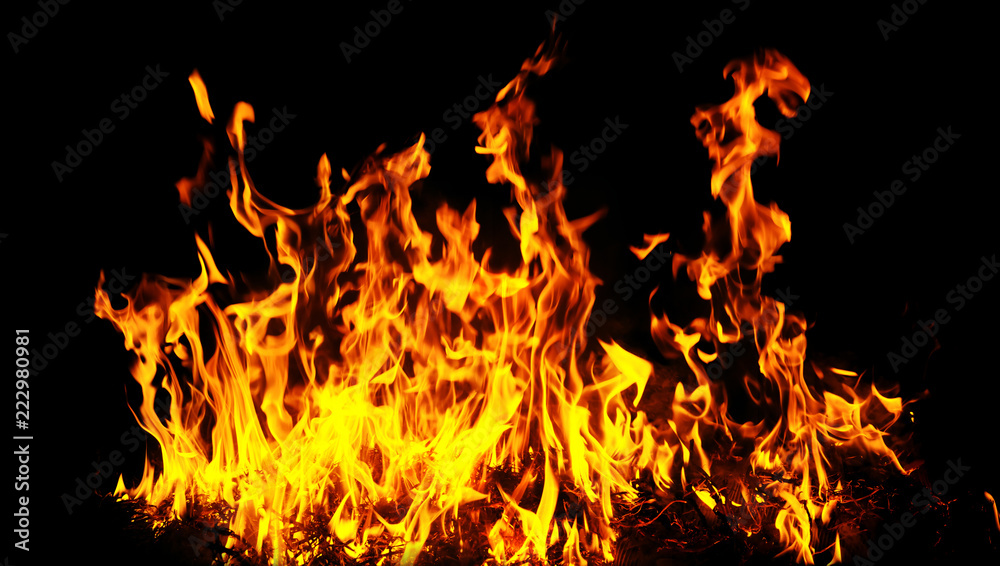 Fire flames on a black background. Fire flames on a black background.