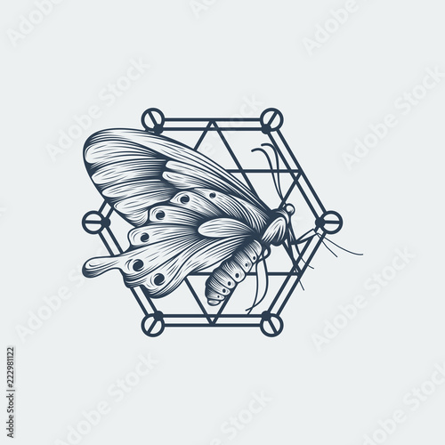 Black and white butterfly over sacred geometry sign, isolated vector illustration 2 © mouze_art