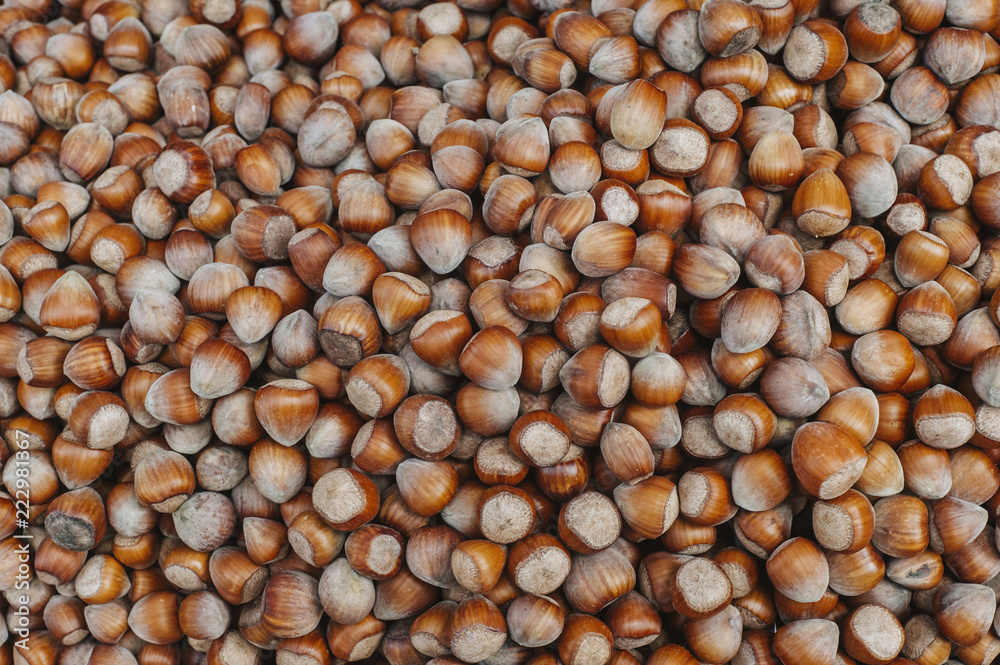 Hazelnuts. Food background, photo wallpaper. Hazelnuts. Food background, photo wallpaper.