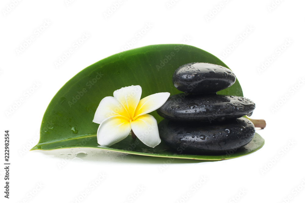Stones and flower with big leaves on white background Stones and flower with big leaves on white background