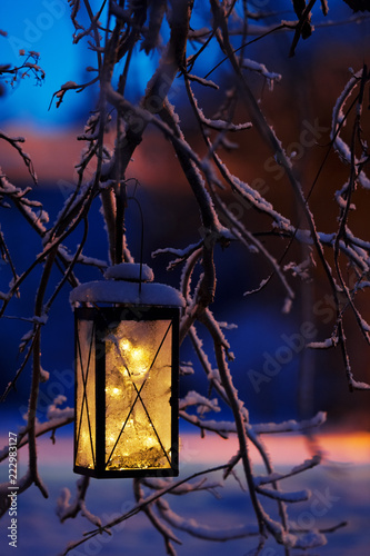 Lantern with Christmas lights hanging in tree branch.