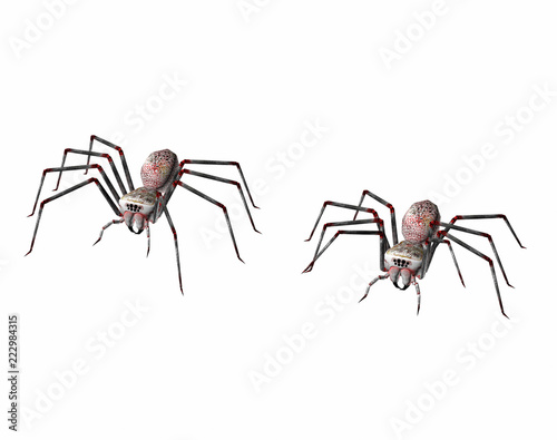 Gefährliche Spinne