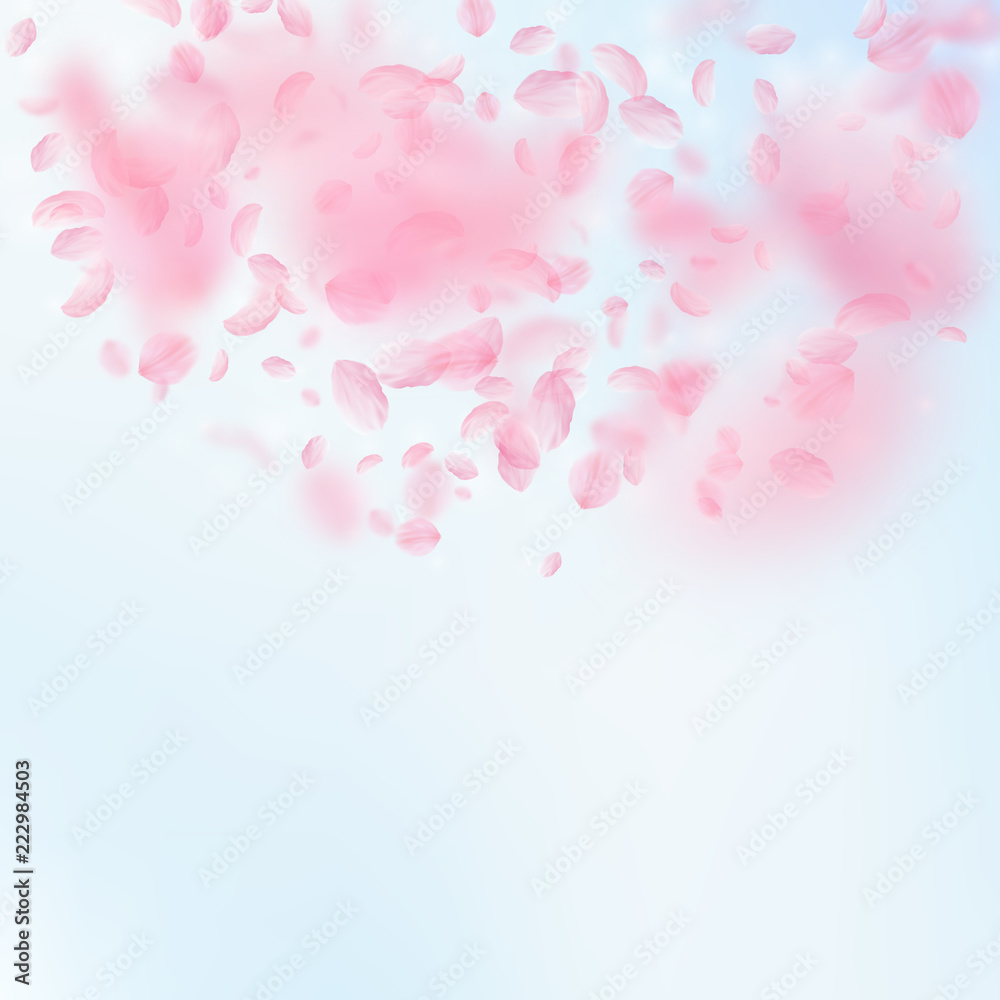 Sakura petals falling down. Romantic pink flowers semicircle. Flying petals on blue sky square backg