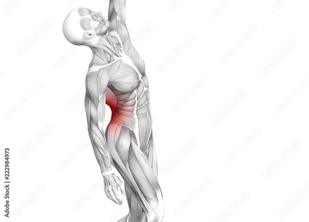 Conceptual back human anatomy with red hot spot inflammation articular joint pain or spine health care therapy or sport muscle concepts. 3D illustration man arthritis or bone sore osteoporosis disease Conceptual back human anatomy with red hot spot inflammation articular joint pain or spine health care therapy or sport muscle concepts. 3D illustration man arthritis or bone sore osteoporosis disease