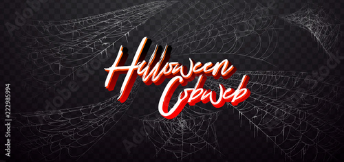 Halloween decor, spider cobweb, hand drawn vector illustration.