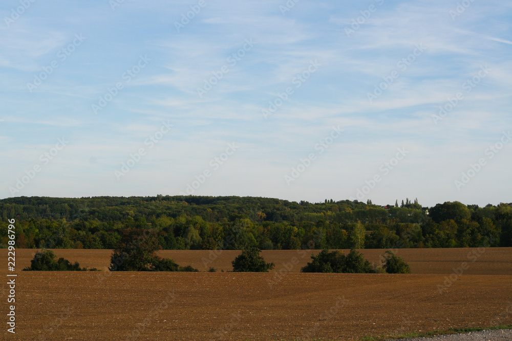 Landwirtschaft im Herbst, bestellte Felder, wellige Hügel in Mitteldeutschland, fruchtbare Erde in Sachsen Anhalt