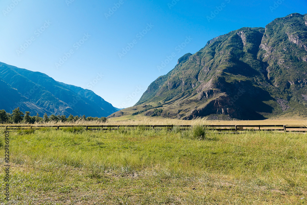 A field with a view of the mountains in the valley of the Chulyshman River, Altai Republic, Russia