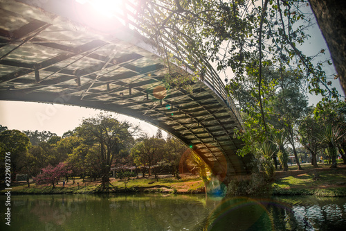 Bellow view of a ibirapuera's bridge with trees in the background and a big lake in the ground, in São Paulo. City, tourism, peaceful place, parks, is the concept