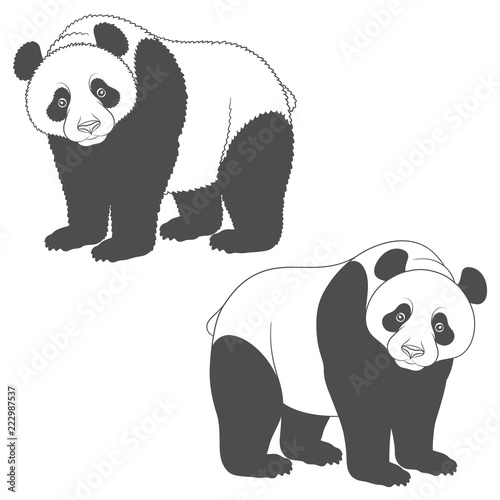 Fototapeta Naklejka Na Ścianę i Meble -  Black and white image of panda. Isolated vector objects on white background.