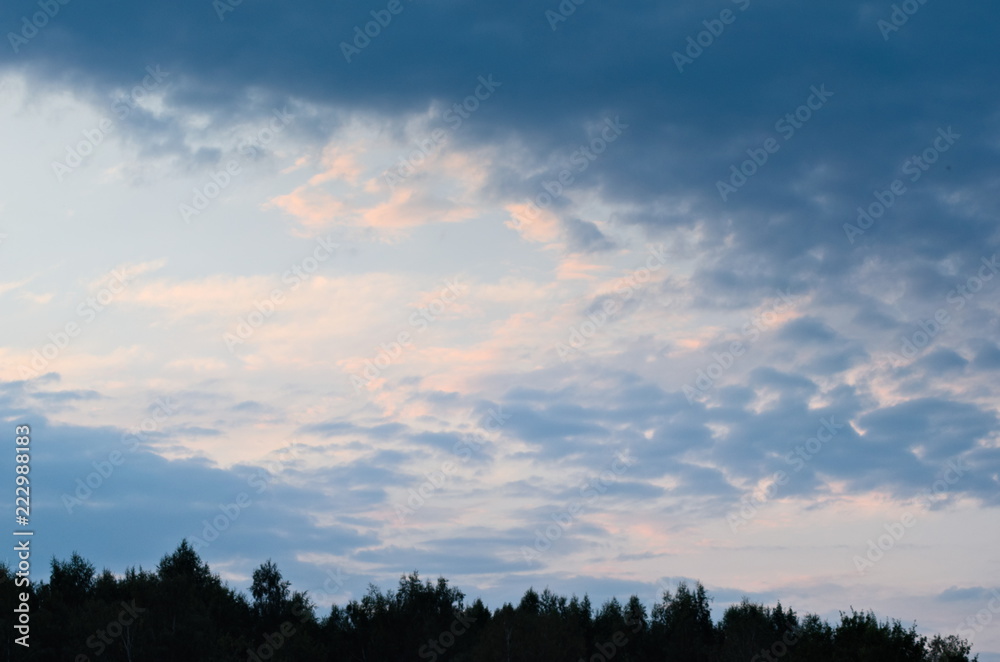 Sunset sky under the forest. Colorful sky for background. Bright blue sky. Autumn sunsets.
