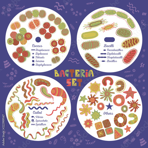 Bacteria Set