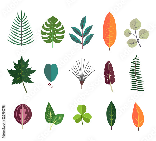 Green tropical leaves floral icons set. Autumn wood and exotic leaf decoration for botanical background.