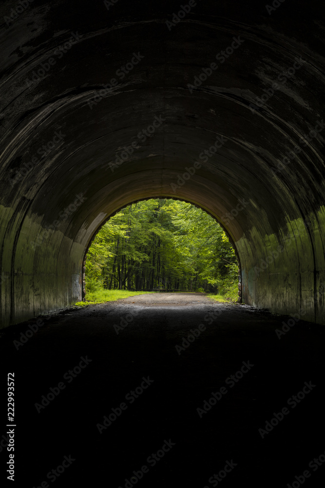 Inside A Tunnel Looking Out