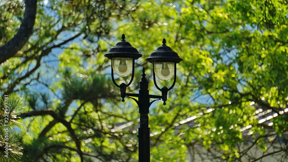 Iron street lamp stands on the waterfront in the trees, near the sea