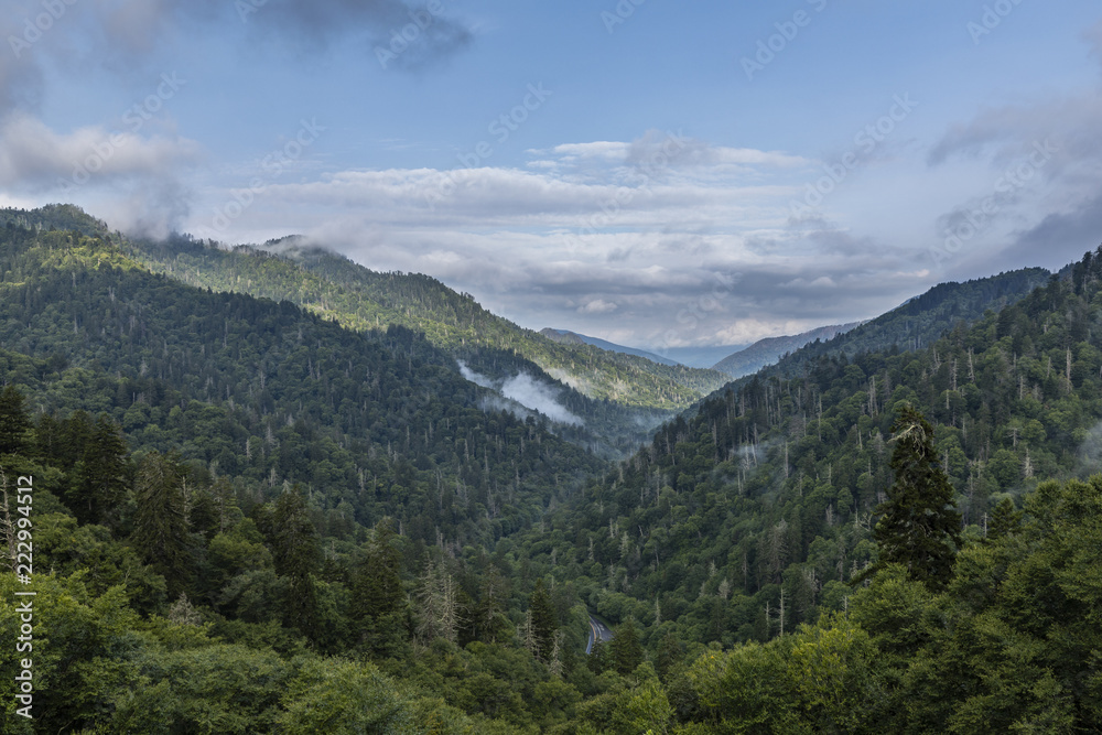Smoky Mountains Scenic Landscape 