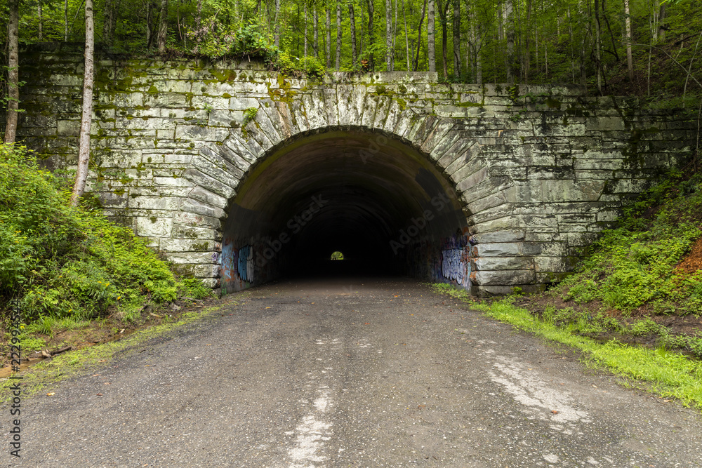 Tunnel On An Abandoned Highway Project