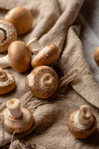 Group of raw mushrooms