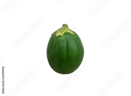 Single jilo vegetable photo