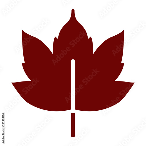 Icon - Herbstblatt