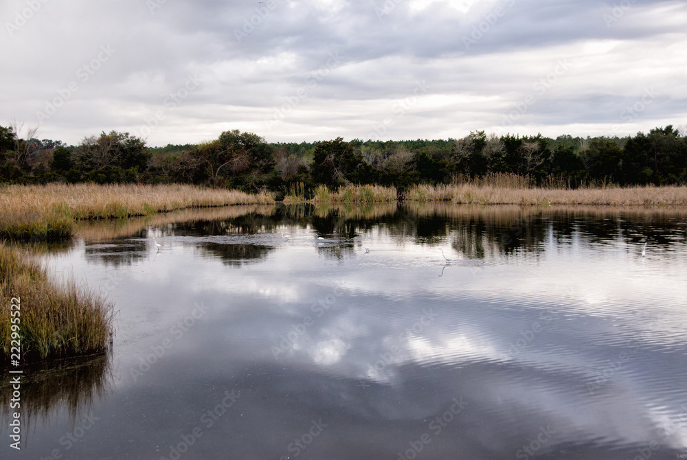 Salt Water Marsh with Reflections in the Water