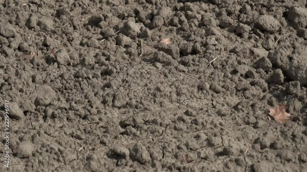 Barren and drought land