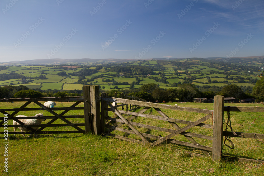View of farming fields in Devon