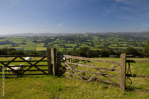 View of farming fields in Devon
