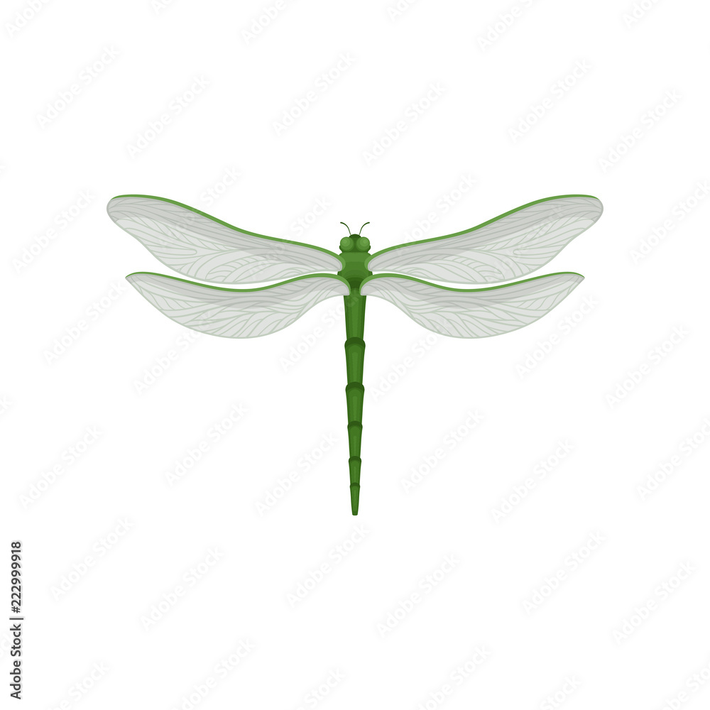 Flar vector icon of beautiful dragonfly with long green body and two pairs of large transparent wings. Fast-flying insect Flar vector icon of beautiful dragonfly with long green body and two pairs of large transparent wings. Fast-flying insect