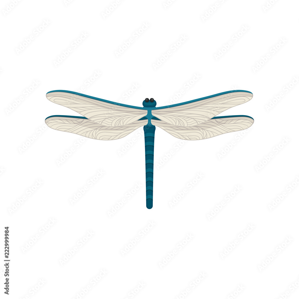 Small blue dragonfly with two pairs of large transparent wings. Flying insect. Flat vector design Small blue dragonfly with two pairs of large transparent wings. Flying insect. Flat vector design