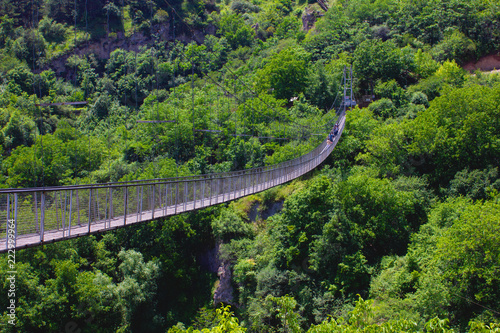 Fototapeta most wiszący w lesie