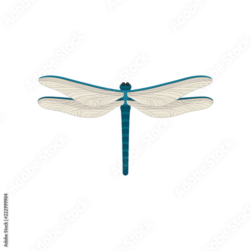 Small blue dragonfly with two pairs of large transparent wings. Flying insect. Flat vector design © Happypictures