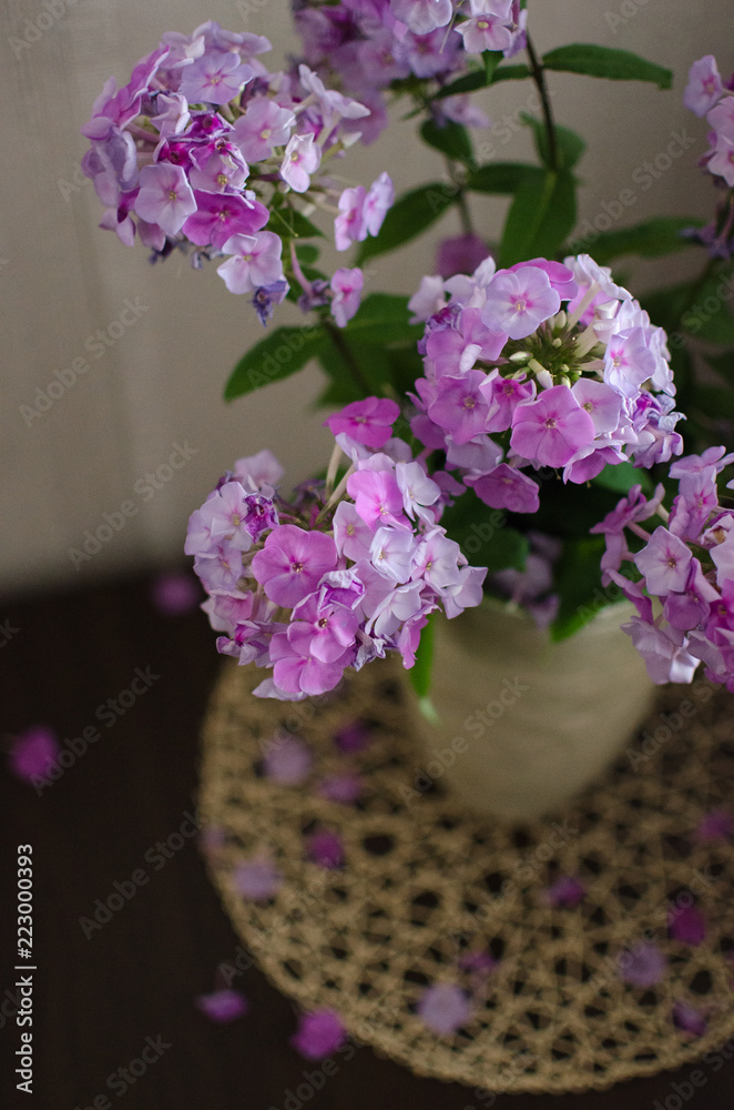 Obraz premium Phloxes in a vase