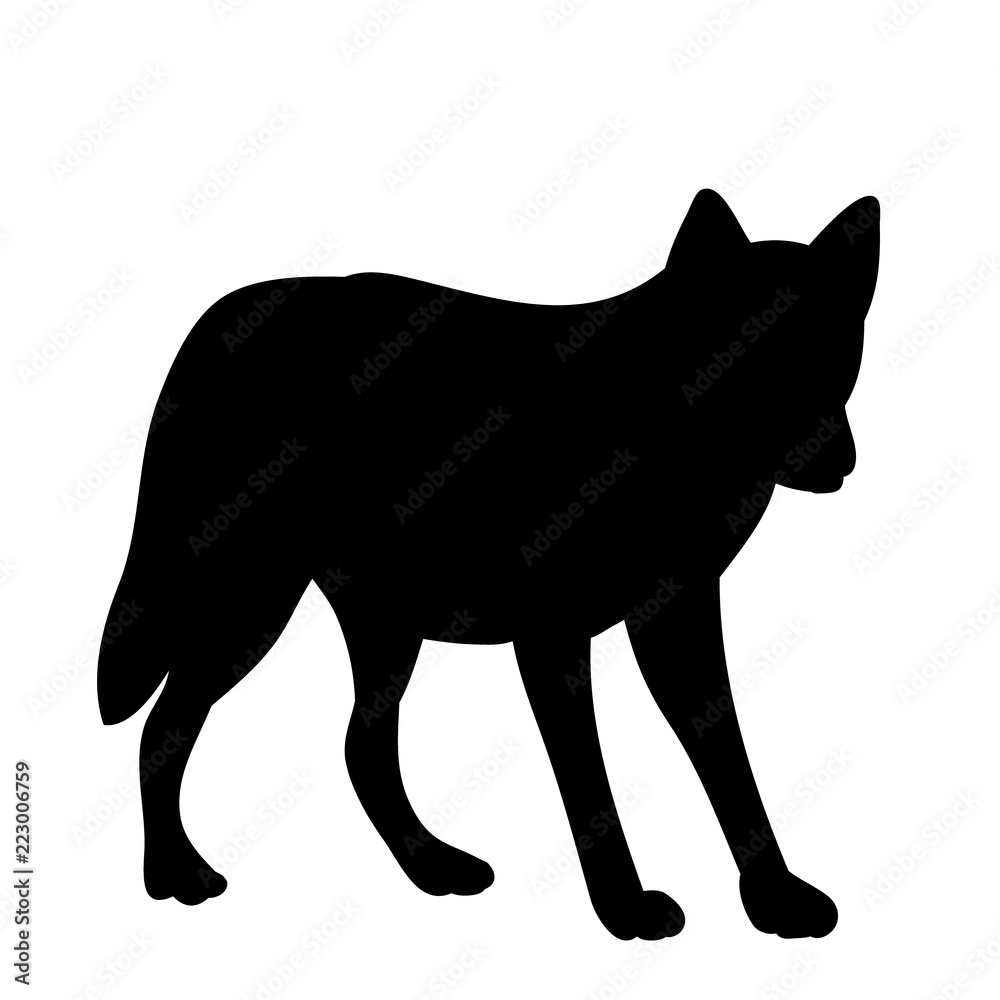  isolated silhouette wolf, predator