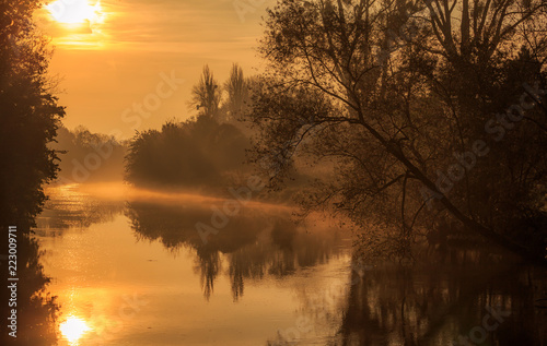 Tr  ber Herbstmorgen an der Leine in Hannover   Foggy morning at river leine in Hanover