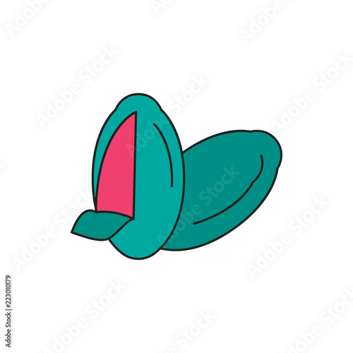 Mamey icon, cartoon style