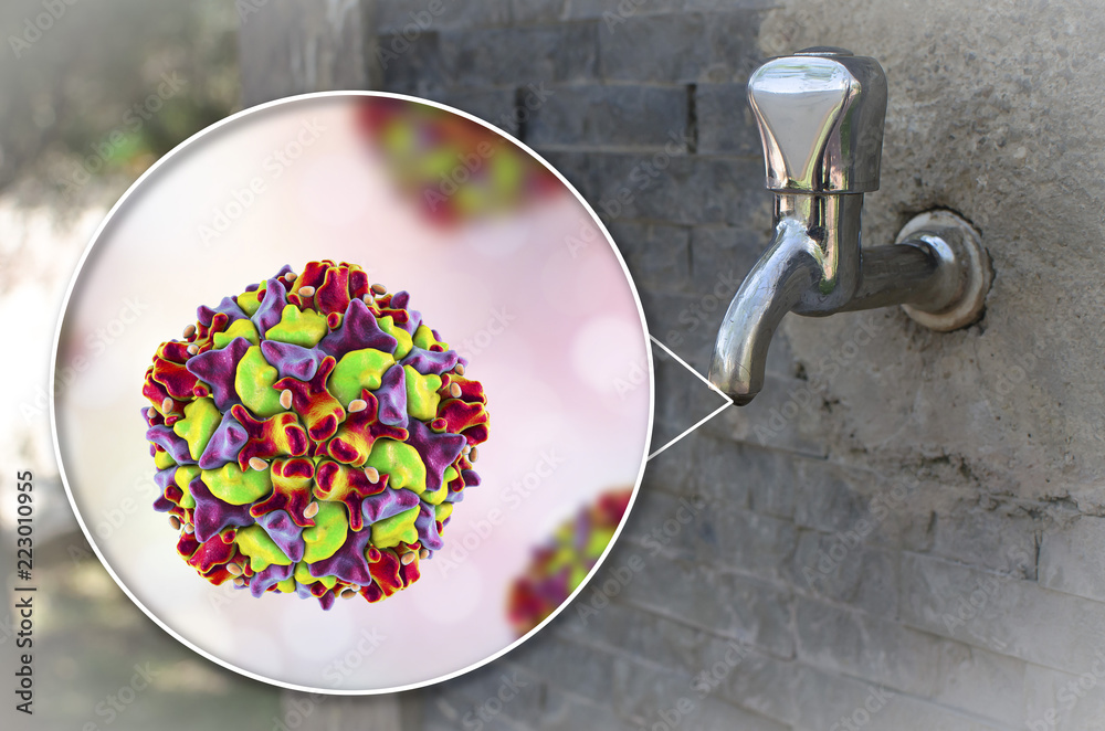Φωτογραφία Safety of drinking water concept, 3D illustration showing polio viruses contamin