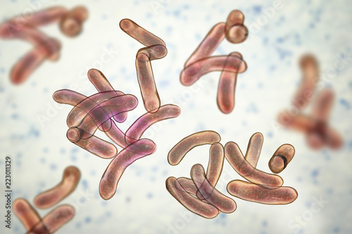 Vibrio cholerae bacteria, 3D illustration. Bacterium which causes cholera disease and is transmitted by contaminated water